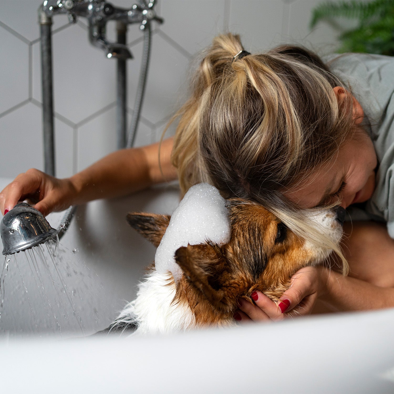 Dog Groomer Pro Tips: How To Shampoo A Dog