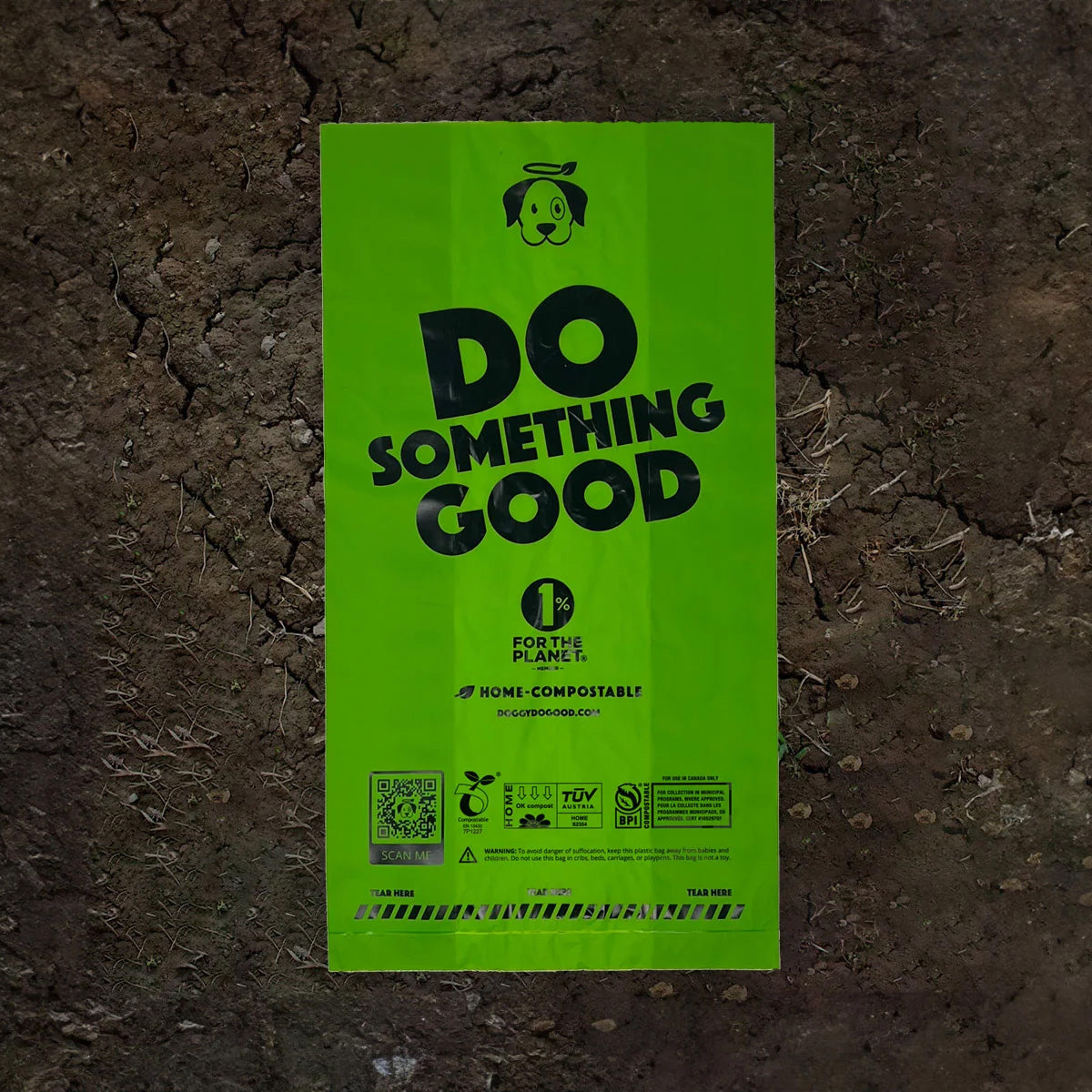 Is dog poop compostable?