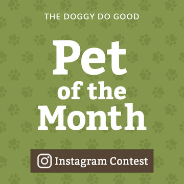 The 'Pet of the Month' Photo Contest