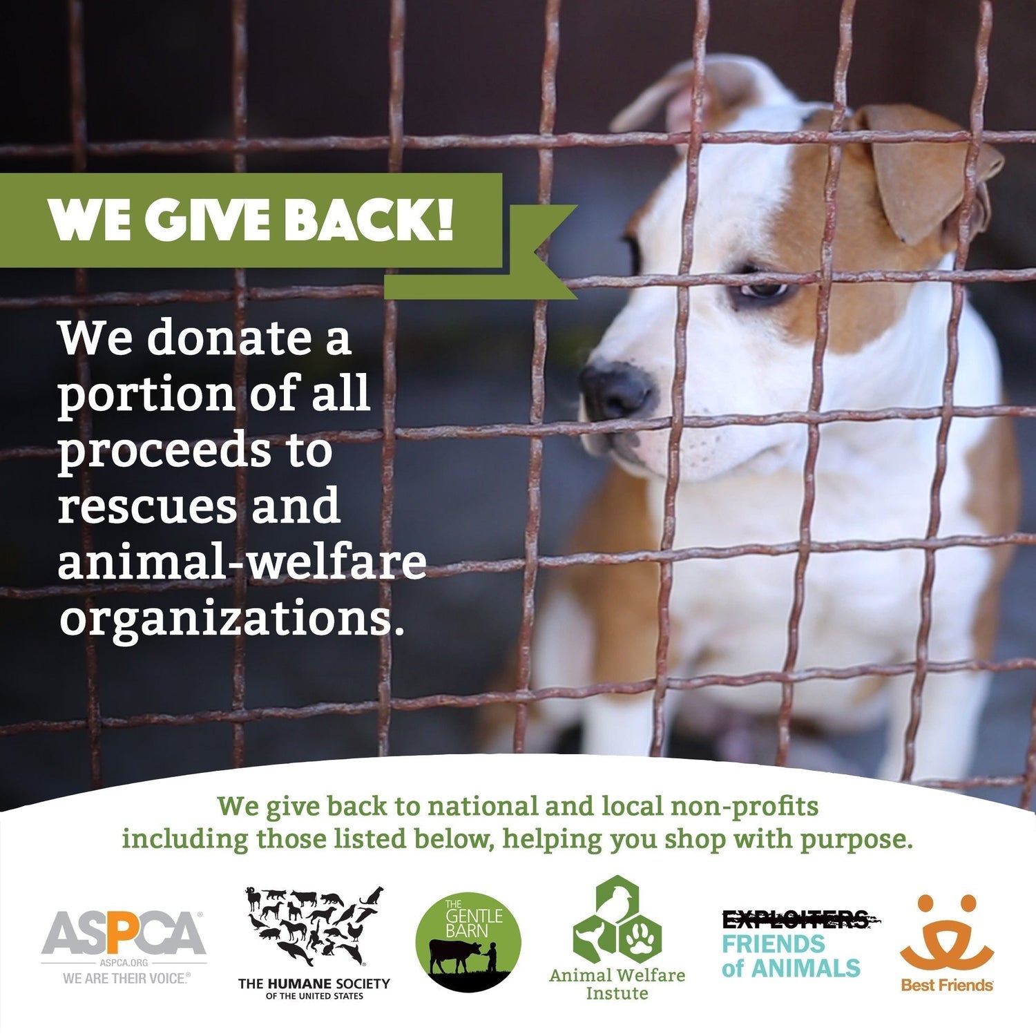 Compostable Pet Waste Bags - 360 Bags